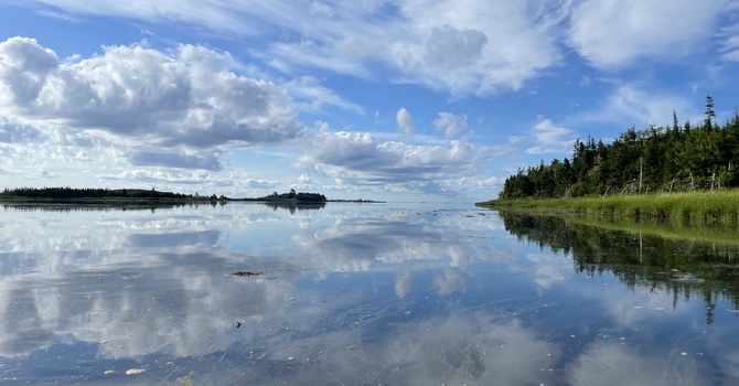 Somatoemotional Release (SER)