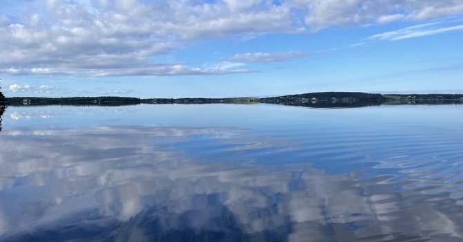 Somatoemotional Release (SER)